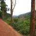Photo of SIT Study Abroad: Rwanda - Post-Genocide Restoration and Peacebuilding