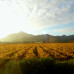 Photo of CIEE: Santiago - Business + Culture