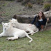Photo of CISabroad (Center for International Studies): Stellenbosch - Summer in South Africa