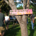 Photo of SIT Study Abroad: Argentina - Transnationalism and Comparative Development in South America