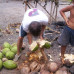 Photo of SIT Study Abroad: Samoa - Social and Environmental Change in Oceania
