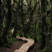 Photo of Wildlands Studies: New Zealand Project: Ecosystems And Conservation