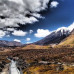 Photo of Wildlands Studies: New Zealand Project: Ecosystems And Conservation