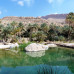 Photo of Northwestern College: Muscat - Spring Semester in Oman