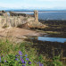 Photo of CCSA (Cooperative Center for Study Abroad): Across Ireland Early Summer Program