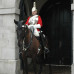 Photo of Panrimo: London - Intern in England