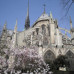 Photo of American University, Washington College of Law: Paris - Study Law Abroad at Universite Paris X Nanterre