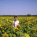 Photo of CEA: Aix-en-Provence, France