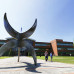 Photo of Arcadia: Limerick - University of Limerick Summer