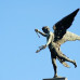 Photo of API (Academic Programs International): Buenos Aires - Internship Programs in Argentina