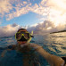 Photo of University of Georgia, Discover Abroad: Australia Summer Program