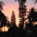 Photo of IISAC: Kerala  - Semester Abroad in Kerala, India Program