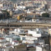 Photo of API (Academic Programs International): Seville - Gap Year Spanish Language, Business, and Applied/Social Sciences Program