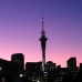Photo of The University of Auckland: Auckland - Direct Enrollment & Exchange