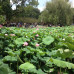 Photo of Yunnan University: Kunming - Direct Enrollment & Exchange