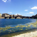 Photo of Global Experiences: Internships in Florence, Italy