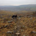 Photo of IFSA: Ballyvaughn - Ireland Study Abroad Program at the Burren College of Art