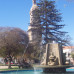 Photo of Middlebury Schools Abroad: Middlebury in La Serena