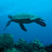 Photo of Broadreach: Programs at Sea - Caribbean PADI Divemaster