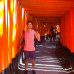 Photo of Kansai Gaidai University: Hirakata - Asian Studies Program