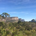 Photo of Stephen F. Austin State University (SFA): Spanish Language and Culture