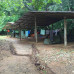 Photo of Round River Conservation Studies: Costa Rica – The Osa Peninsula