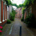 Photo of IES Abroad: Amsterdam Summer – Society, Culture & Gender