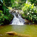 Photo of Round River Conservation Studies: Costa Rica – The Osa Peninsula