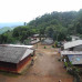 Photo of The Experiment:  Thailand - Buddhist Traditions and Contemporary Culture