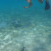 Photo of The Experiment: Mexico: Marine Biology in the Caribbean & Baja Peninsula