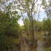 Photo of The Experiment: Vietnam - Ecology and Conservation