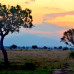Photo of The Experiment: Tanzania - Coastal and Maasai Cultures