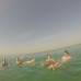 Photo of CET Jordan: Internship