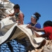 Photo of Sea Education Association: Programs at Sea - Ocean Exploration