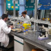 Photo of CEU San Pablo University: Madrid -  Practical Introduction to the World of Pharmacy, Summer