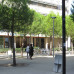 Photo of University of Minnesota: Montpellier - Business in France