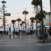 Photo of WorldStrides Study Abroad in Sydney, Australia