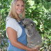 Photo of IFSA: Gold Coast & Brisbane - Griffith University
