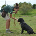 Photo of ProjectsAbroad: Argentina - Volunteer and Community Service Programs in Argentina