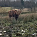 Photo of API (Academic Programs International): Stirling - University of Stirling