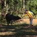 Photo of IISAC: Summer In Kerala