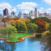 Photo of Beyond Academy: Internships in New York