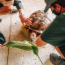 Photo of Pacific Discovery: Hawaii Mini Semester Program
