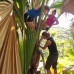 Photo of GVI: Curieuse - Seychelles Environmental Conservation Short Term Internship