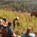 Photo of GVI: Chiang Mai - Volunteer with Elephants in Thailand
