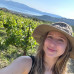Photo of Cerca Abroad: Greece – Agriculture & Viticulture Internship