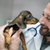 Photo of Cerca Abroad: Greece - Veterinary Internship