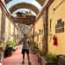 Photo of IPSL Global Engagement in Argentina: Spanish Language, Culture, and Volunteering