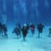 Photo of The School for Field Studies / SFS: Turks and Caicos Islands - Marine Resource Studies