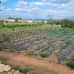 Photo of Cerca Abroad: Greece – Agriculture & Viticulture Internship
